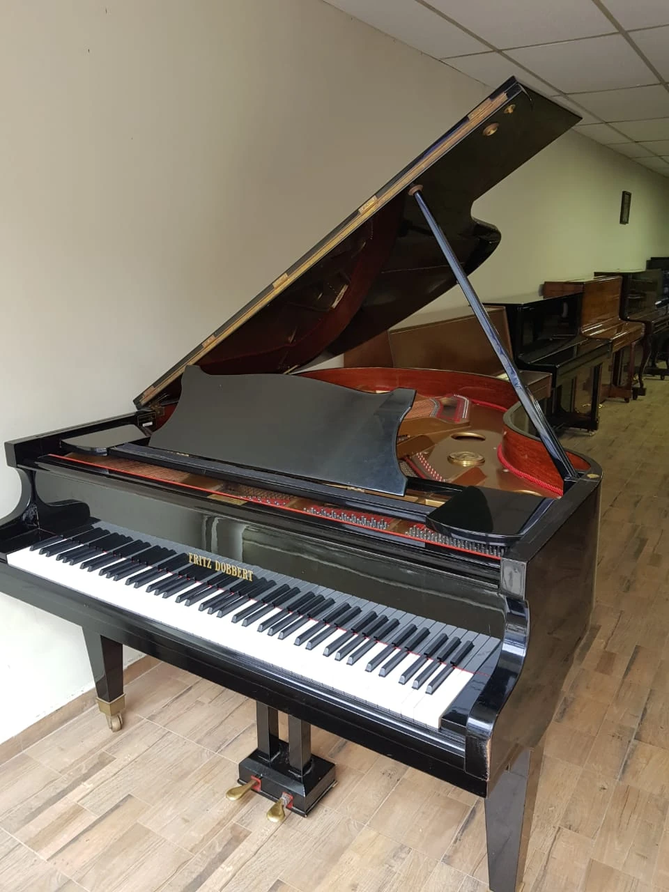 Imagem ilustrativa de Afinação de piano de cauda